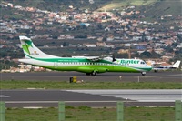Javier de la Cruz - CANARY ISLANDS SPOTTING. Click to see full size photo