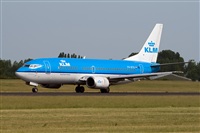 Javier de la Cruz - CANARY ISLANDS SPOTTING. Click to see full size photo