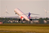 Javier de la Cruz - CANARY ISLANDS SPOTTING. Click to see full size photo