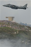 Eliseo Vergara. Click to see full size photo