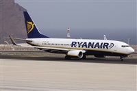 Alfonso Sols - Asociacin Canary Islands Spotting. Haz click para ampliar
