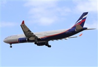 Miguel A. gueda Rguez.  (CANARY ISLANDS SPOTTING). Click to see full size photo