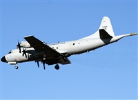 Francisco Garcia Romero - LPA. Spotter.. Haz click para ampliar