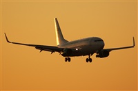 Saimon J Rodriguez   -   Canary Islands Spotting. Haz click para ampliar