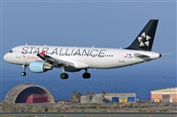 Adolfo Bento - Gran Canaria Spotters. Click to see full size photo
