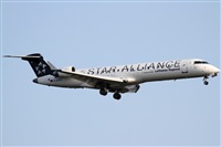 Rubn Gil - Noisy Spotters. Click to see full size photo