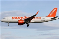 Rubn Gil - Noisy Spotters. Click to see full size photo