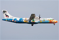 Miguel Alia - Noisy Spotters. Click to see full size photo
