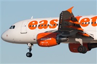 Miguel Alia - Noisy Spotters. Click to see full size photo