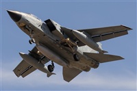Adolfo Bento - Gran Canaria Spotters. Click to see full size photo