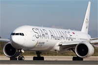 Miguel Alia - Noisy Spotters. Click to see full size photo