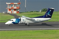 Justo Miguel Prieto. ( Malaga Spotters). Click to see full size photo