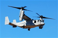 J. Victor Vega-Gran Canaria Spotters. Click to see full size photo