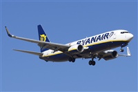 Saimon J Rodriguez   -   Canary Islands Spotting. Click to see full size photo