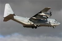 ©Adolfo Bento - Gran Canaria Spotters. Click to see full size photo ©Adolfo Bento - Gran Canaria Spotters. Click to see full size photo