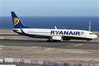 Alfonso Sols - Asociacin Canary Islands Spotting. Click to see full size photo