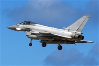 ©Adolfo Bento - Gran Canaria Spotters. Click to see full size photo ©Adolfo Bento - Gran Canaria Spotters. Click to see full size photo