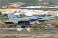 Bartolom Fernndez - Gran Canaria Spotters. Click to see full size photo