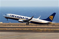 Nacho Rodriguez - Canary Islands Spotting. Click to see full size photo