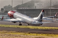 Javier de la Cruz - CANARY ISLANDS SPOTTING. Click to see full size photo