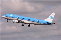 Miguel A. gueda Rguez.  (CANARY ISLANDS SPOTTING). Click to see full size photo