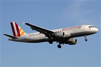 ©Alfonso Solís - Asociación Canary Islands Spotting. Click to see full size photo ©Alfonso Solís - Asociación Canary Islands Spotting. Click to see full size photo