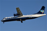 A. Raff-Lehner. Click to see full size photo
