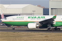Rubn Gil - Noisy Spotters. Click to see full size photo