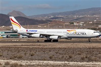 Javier de la Cruz - CANARY ISLANDS SPOTTING. Click to see full size photo