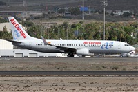 ©Alfonso Solís - Asociación Canary Islands Spotting. Click to see full size photo ©Alfonso Solís - Asociación Canary Islands Spotting. Click to see full size photo