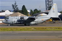 Csar Prieto. Click to see full size photo