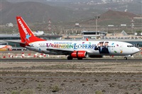 ©Alfonso Solís - Asociación Canary Islands Spotting. Click to see full size photo ©Alfonso Solís - Asociación Canary Islands Spotting. Click to see full size photo