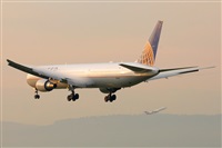 Miguel A. gueda Rguez.  (CANARY ISLANDS SPOTTING). Click to see full size photo