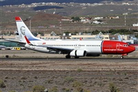 ©Alfonso Solís - Asociación Canary Islands Spotting. Click to see full size photo ©Alfonso Solís - Asociación Canary Islands Spotting. Click to see full size photo