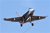 J. Victor Vega-Gran Canaria Spotters. Click to see full size photo