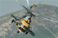 Tams. Click to see full size photo