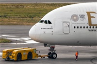 Javier de la Cruz - CANARY ISLANDS SPOTTING. Click to see full size photo