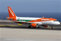 ©Alfonso Solís - Asociación Canary Islands Spotting. Click to see full size photo ©Alfonso Solís - Asociación Canary Islands Spotting. Click to see full size photo