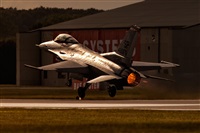 Javier de la Cruz - CANARY ISLANDS SPOTTING. Click to see full size photo