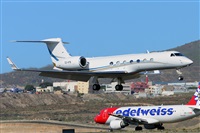 Miguel A. gueda Rguez.  (CANARY ISLANDS SPOTTING). Click to see full size photo