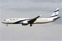 ©Alfonso Solís - Asociación Canary Islands Spotting. Click to see full size photo ©Alfonso Solís - Asociación Canary Islands Spotting. Click to see full size photo