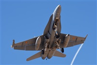 ©J. Victor Vega-Gran Canaria Spotters. Click to see full size photo ©J. Victor Vega-Gran Canaria Spotters. Click to see full size photo