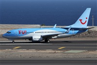 ©Alfonso Solís - Asociación Canary Islands Spotting. Click to see full size photo ©Alfonso Solís - Asociación Canary Islands Spotting. Click to see full size photo