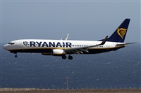 Alfonso Sols - Asociacin Canary Islands Spotting. Click to see full size photo
