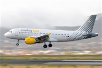 Miguel A. gueda Rguez.  (CANARY ISLANDS SPOTTING). Haz click para ampliar