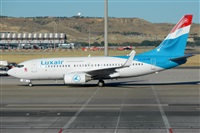 Miguel A. gueda Rguez.  (CANARY ISLANDS SPOTTING). Click to see full size photo