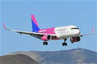 Miguel A. gueda Rguez.  (CANARY ISLANDS SPOTTING). Haz click para ampliar