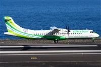 ©Luis Rguez - La Palma Spotting. Click to see full size photo ©Luis Rguez - La Palma Spotting. Click to see full size photo