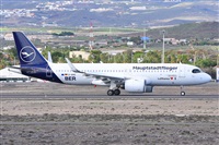 Miguel A. gueda Rguez.  (CANARY ISLANDS SPOTTING). Click to see full size photo