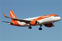©Alfonso Solís - Asociación Canary Islands Spotting. Click to see full size photo ©Alfonso Solís - Asociación Canary Islands Spotting. Click to see full size photo